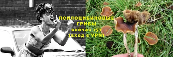 PSILOCYBIN Нефтегорск